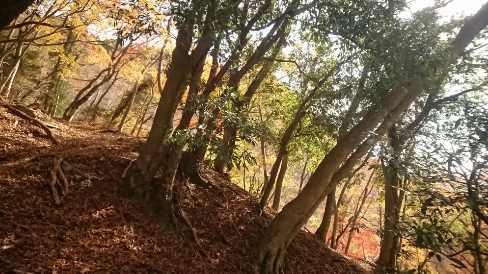 f:id:yoshikixx:20181118190336j:plain