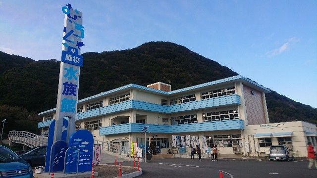 f:id:yoshikixx:20190103193723j:image f:id:yoshikixx:20190103193723j:image