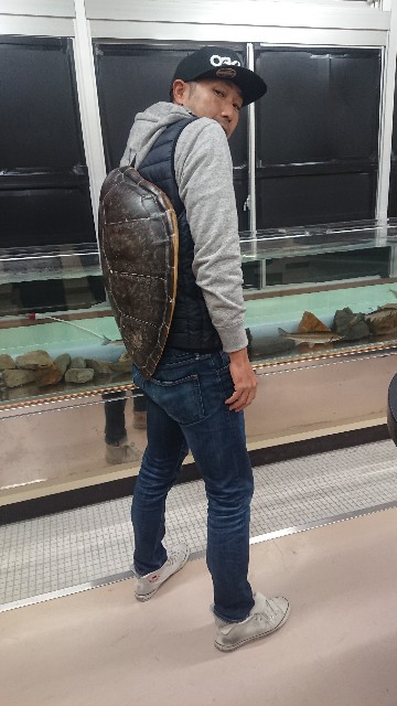 f:id:yoshikixx:20190103201940j:image f:id:yoshikixx:20190103201940j:image