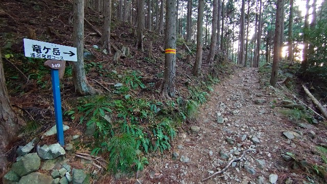 f:id:yoshikixx:20201206140636j:image f:id:yoshikixx:20201206140636j:image