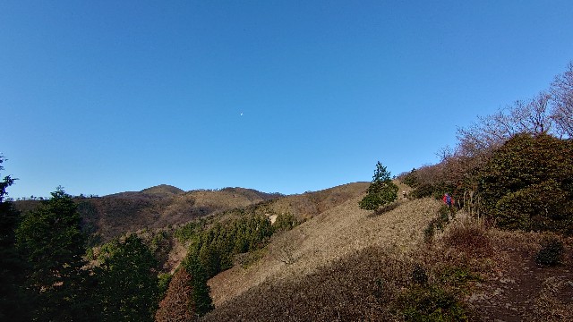 f:id:yoshikixx:20201206140938j:image f:id:yoshikixx:20201206140938j:image