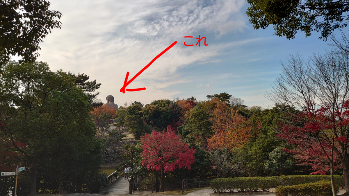 f:id:yoshikixx:20201209152920p:plain