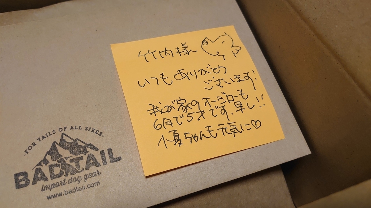 f:id:yoshikixx:20210126200240j:plain