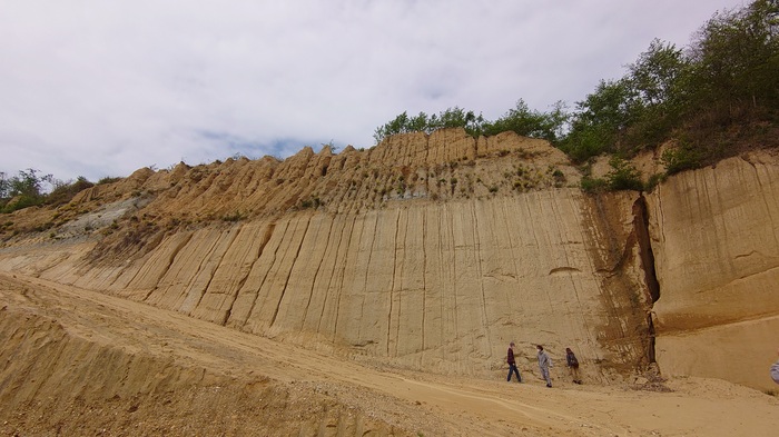 f:id:yoshikixx:20210404173126j:plain