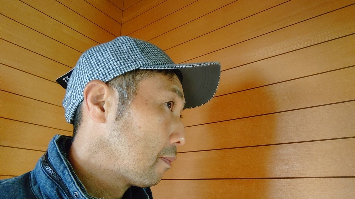 f:id:yoshikixx:20211025163841j:plain