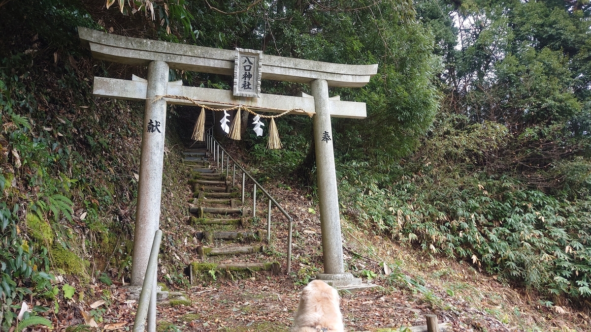 印瀬の壺神」の看板に呼ばれて ～八口神社で感じた、神話と土地の距離