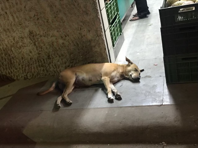 f:id:yoshikiyachi:20191023124927j:image