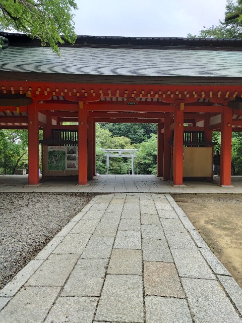 f:id:yoshiko-101:20230611202517j:image