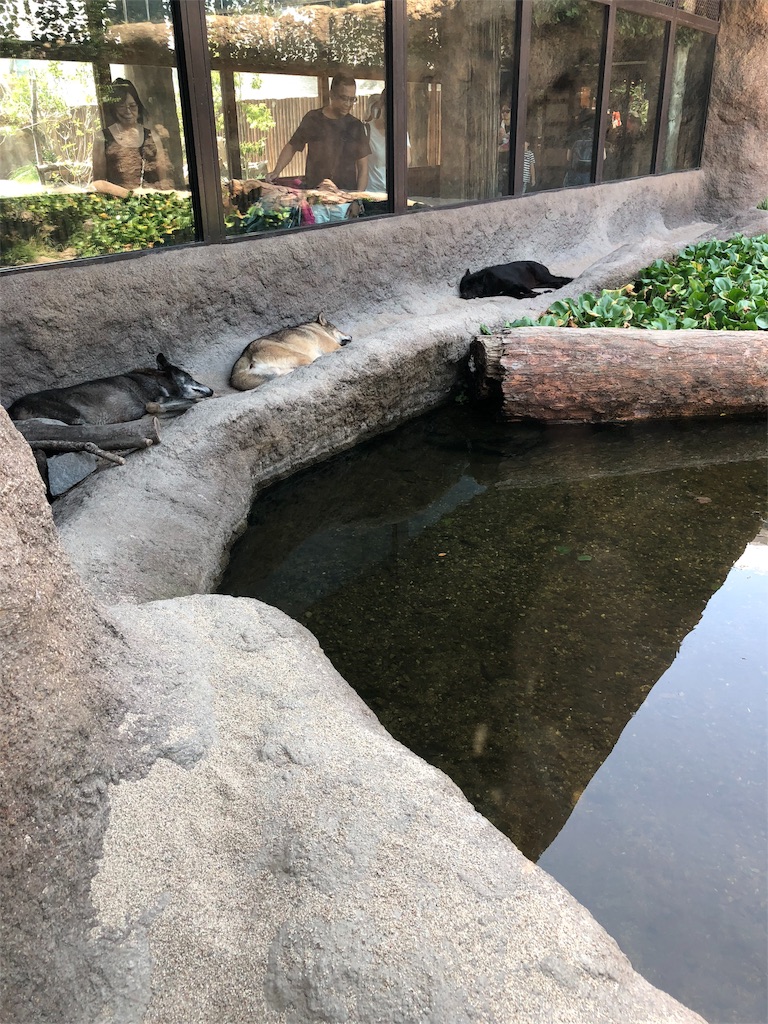 f:id:yoshiko062782:20180808121250j:image f:id:yoshiko062782:20180808121250j:image
