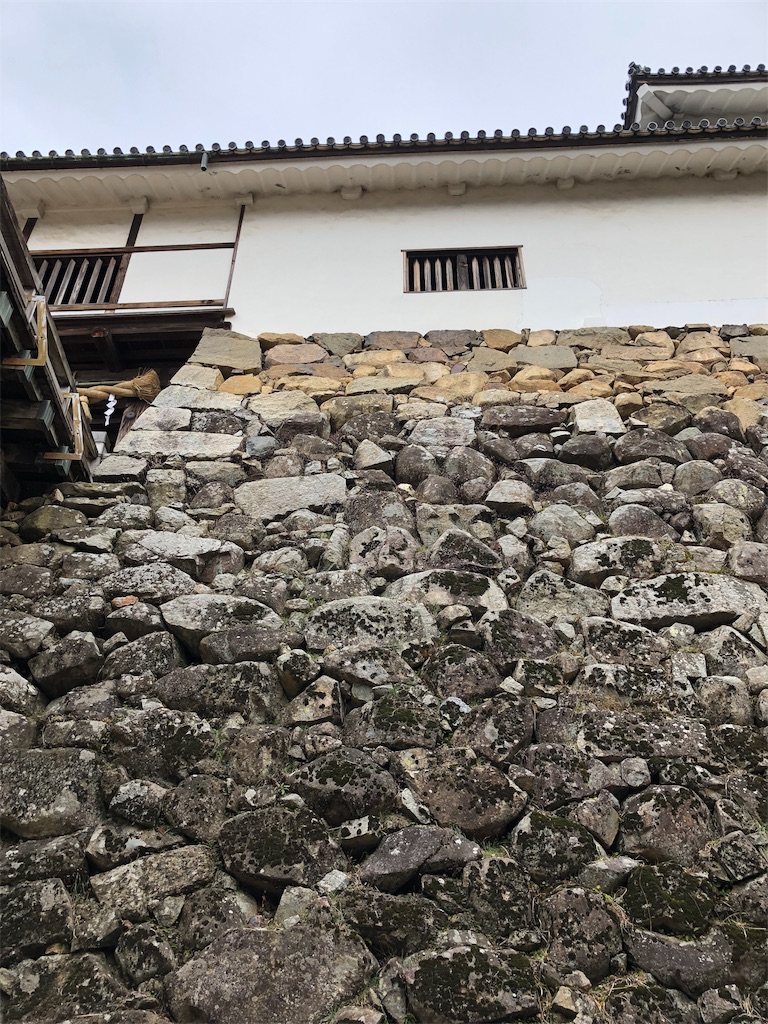 f:id:yoshiko062782:20190129103031j:image