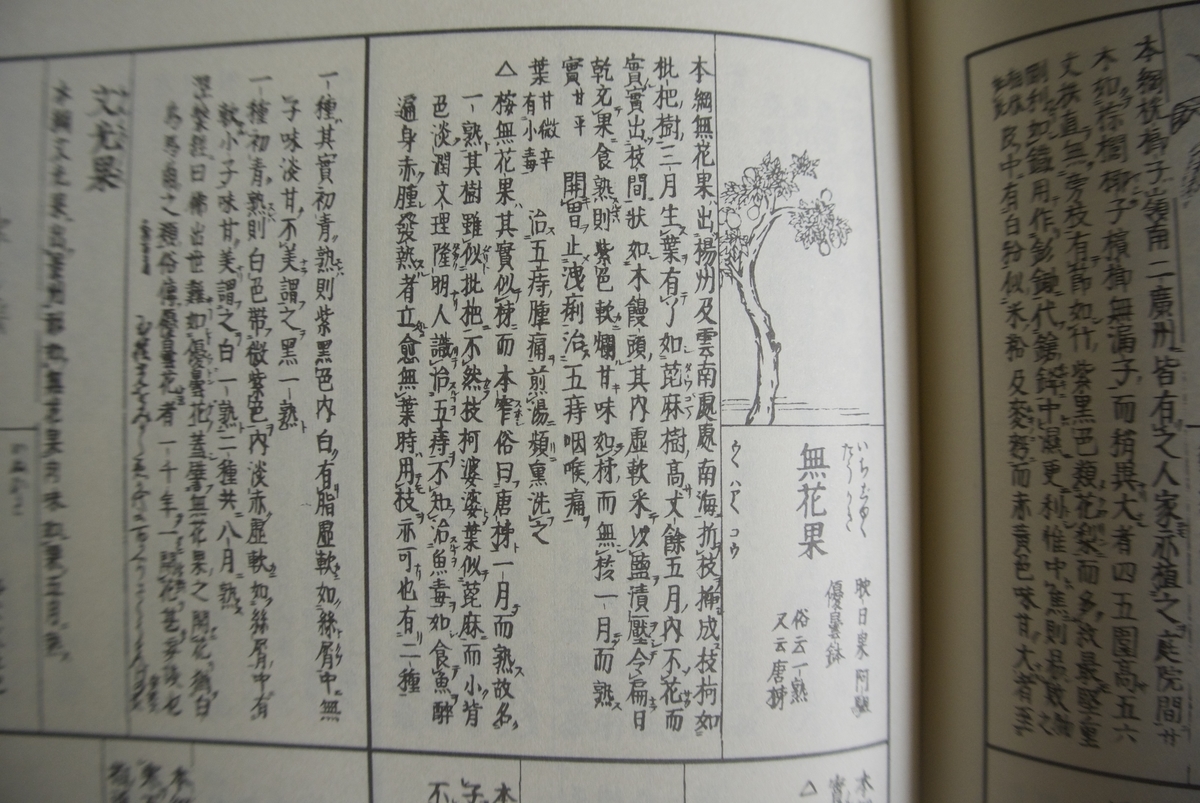 f:id:yoshiko1260:20191018165729j:plain f:id:yoshiko1260:20191018165729j:plain