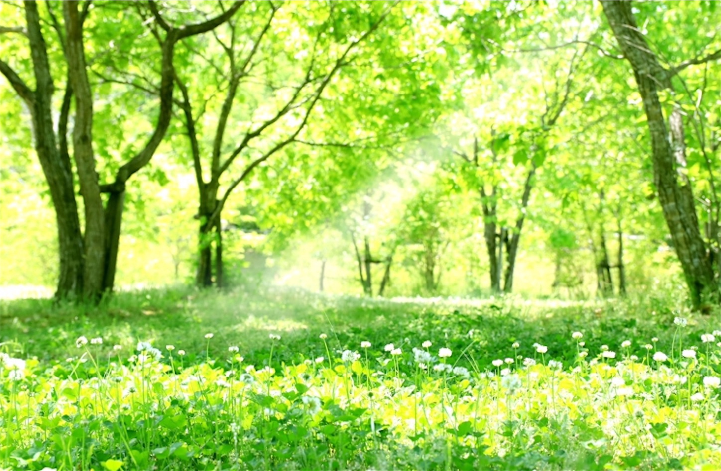 f:id:yoshikotherapy17:20190723073833j:plain f:id:yoshikotherapy17:20190723073833j:plain