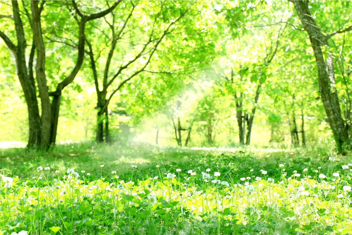 f:id:yoshikotherapy17:20190819171333j:image f:id:yoshikotherapy17:20190819171333j:image