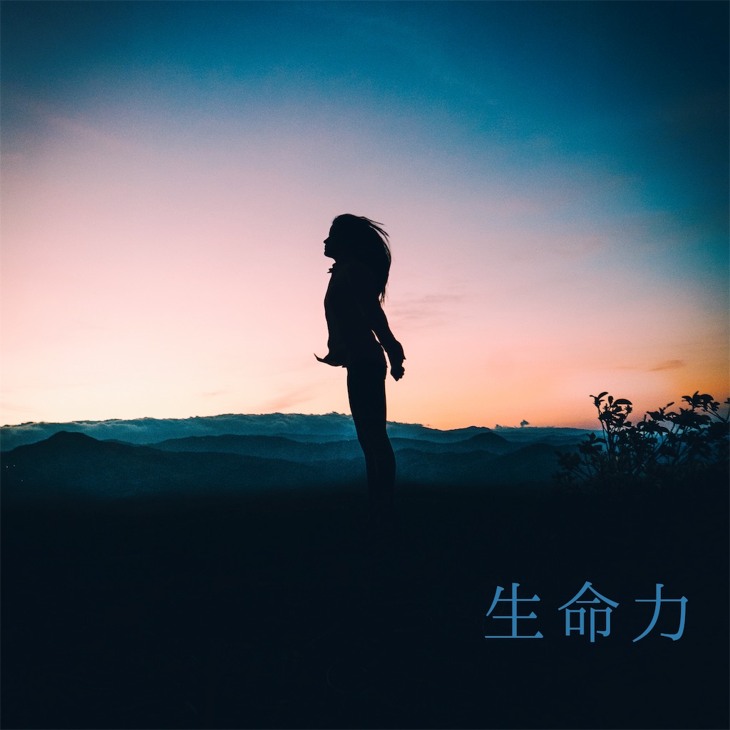 f:id:yoshikoyamamoto1126:20190601154900j:image f:id:yoshikoyamamoto1126:20190601154900j:image