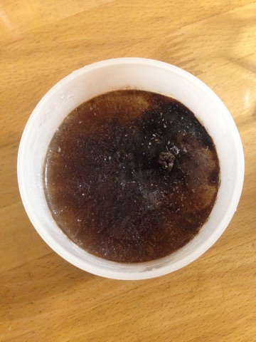 f:id:yoshimamo:20150822044903j:plain