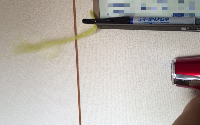 f:id:yoshimamo:20160617175926j:plain f:id:yoshimamo:20160617175926j:plain