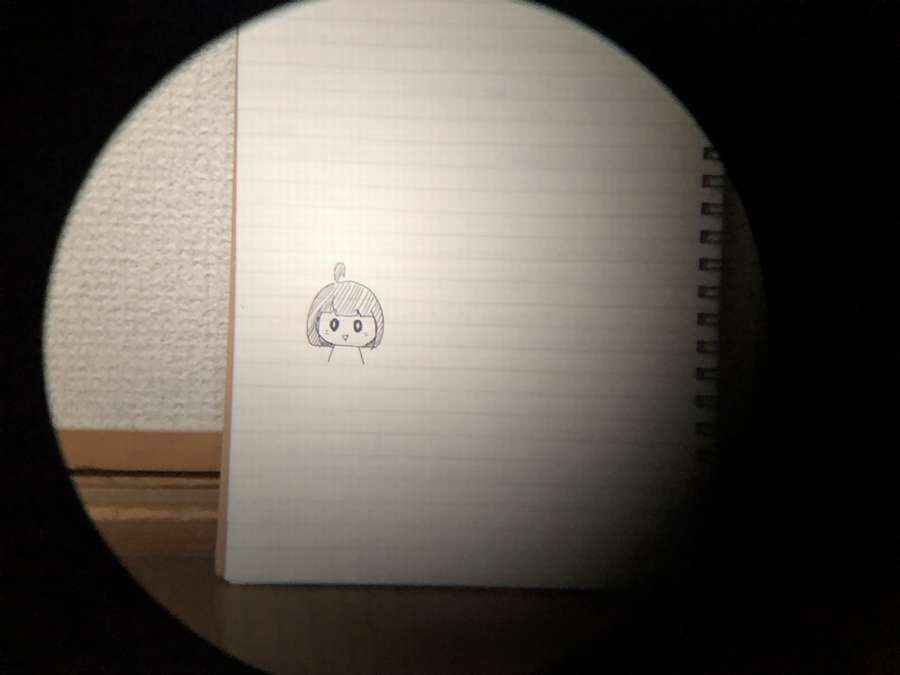 裏技ズームで撮った写真