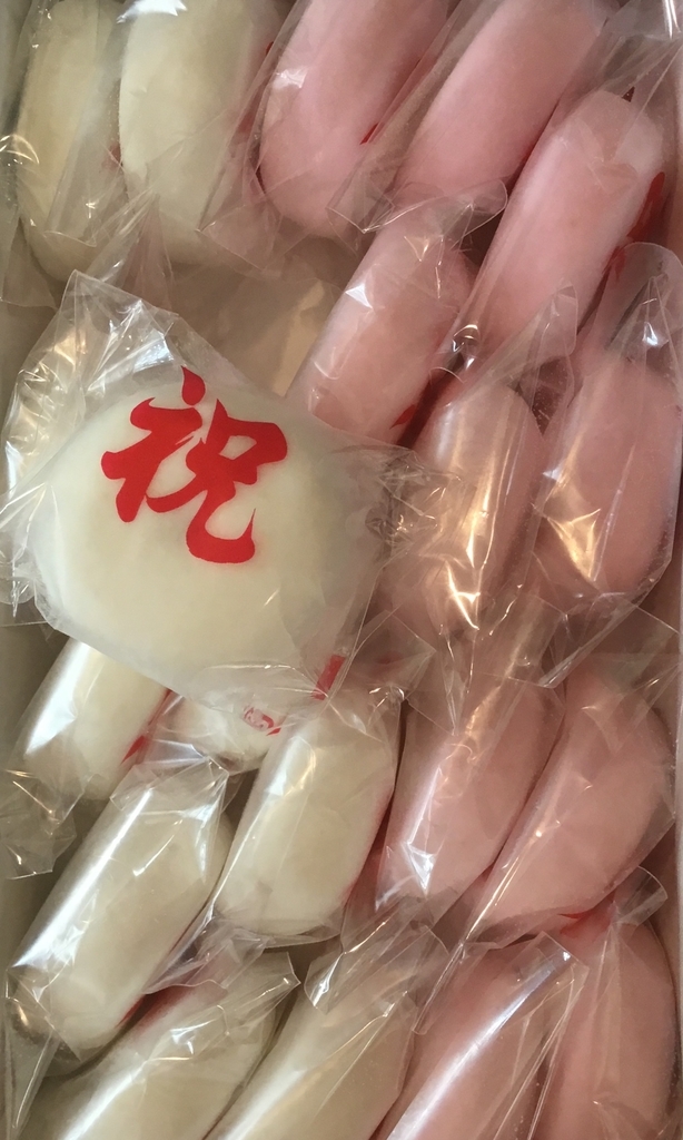 f:id:yoshimarufp:20190303010625j:plain