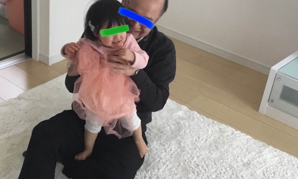 f:id:yoshimarufp:20190303010754j:plain