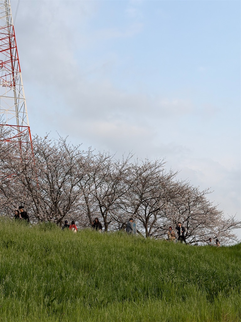 f:id:yoshimasa_pank:20260406120515j:image f:id:yoshimasa_pank:20260406120515j:image