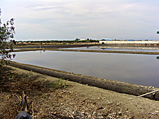 f:id:yoshimie:20090322095702j:image f:id:yoshimie:20090322095702j:image