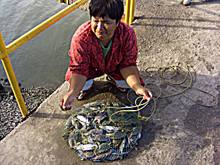 f:id:yoshimie:20090322164717j:image f:id:yoshimie:20090322164717j:image