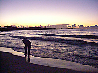 f:id:yoshimie:20090323060140j:image f:id:yoshimie:20090323060140j:image