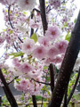 20100412072409