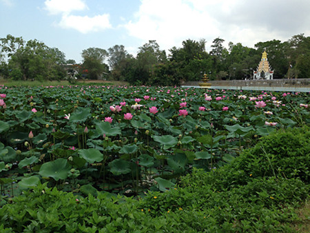 f:id:yoshimie:20160406113330j:image