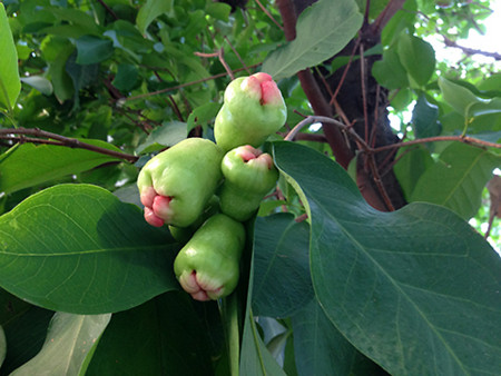 f:id:yoshimie:20160406170201j:image