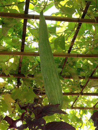 f:id:yoshimie:20160410161420j:image:w450