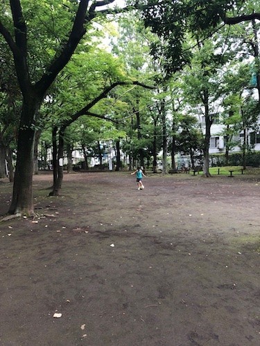 f:id:yoshimiradikorn:20190721140705j:plain f:id:yoshimiradikorn:20190721140705j:plain