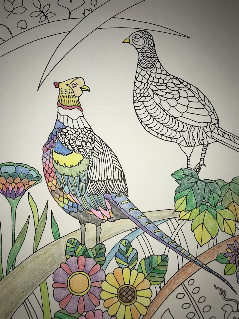 塗り絵で自律神経が整うのか？？ - ヨシミ旅日記