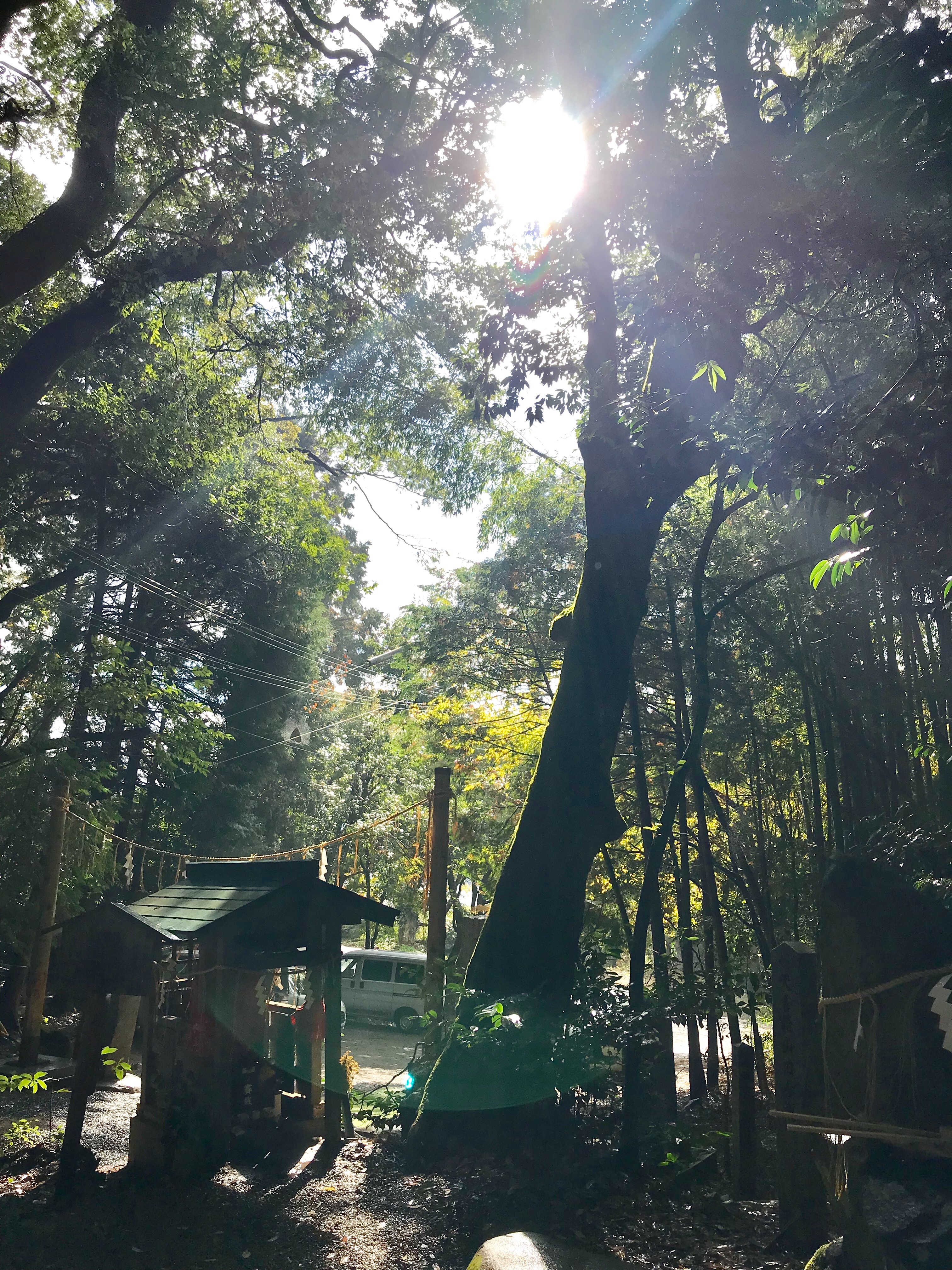 f:id:yoshimiuta:20181106112037j:image f:id:yoshimiuta:20181106112037j:image