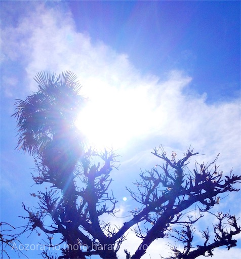 f:id:yoshimiuta:20190222135835j:image f:id:yoshimiuta:20190222135835j:image