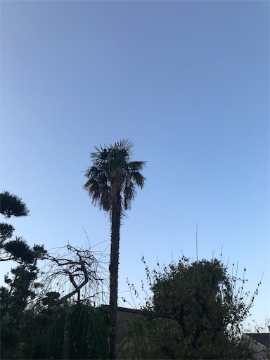f:id:yoshimiuta:20190222135843j:image f:id:yoshimiuta:20190222135843j:image