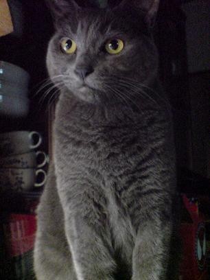20091105005019