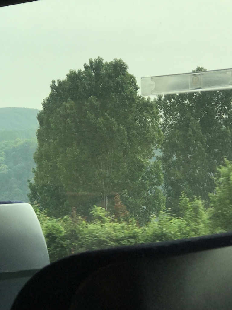 f:id:yoshimura1210tan:20180524235633j:plain