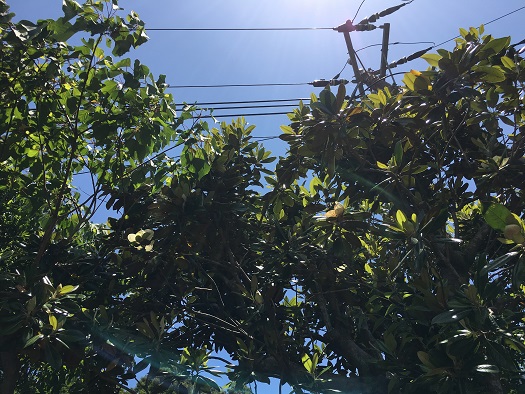f:id:yoshimuraneko:20190908021139j:plain