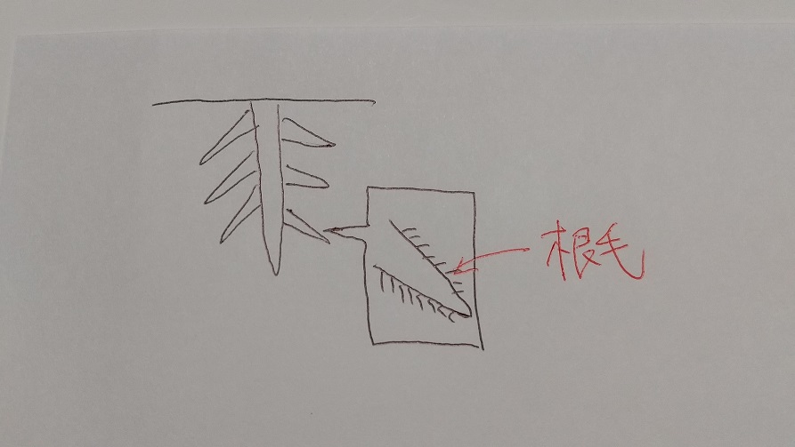 f:id:yoshinarijuku:20201018225755j:plain