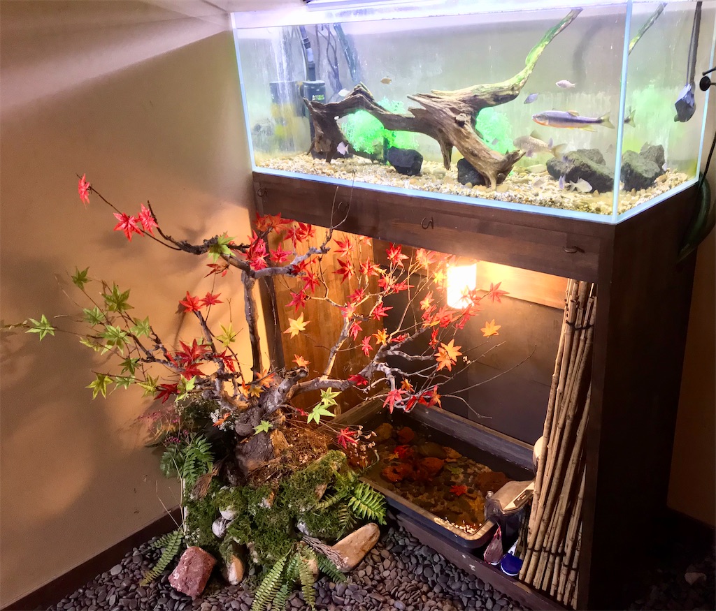 f:id:yoshink4:20210413213507j:image f:id:yoshink4:20210413213507j:image