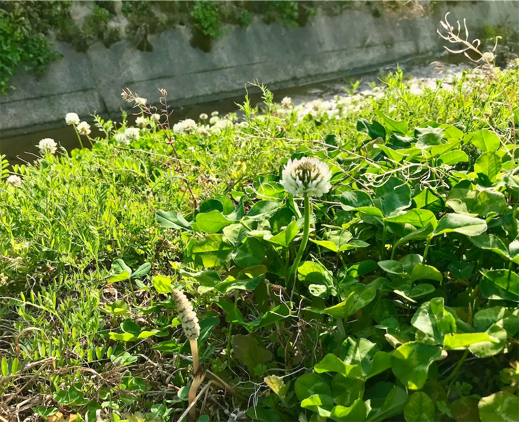 f:id:yoshink4:20220314172339j:image