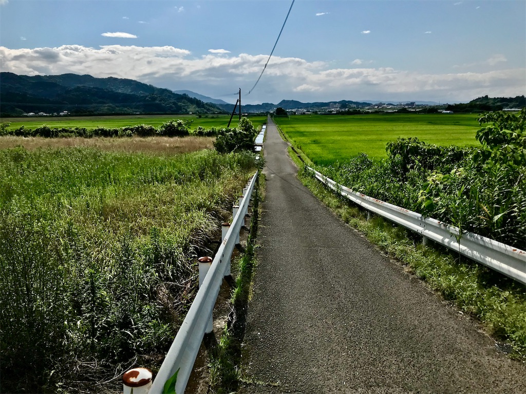 f:id:yoshink4:20220622161919j:image f:id:yoshink4:20220622161919j:image