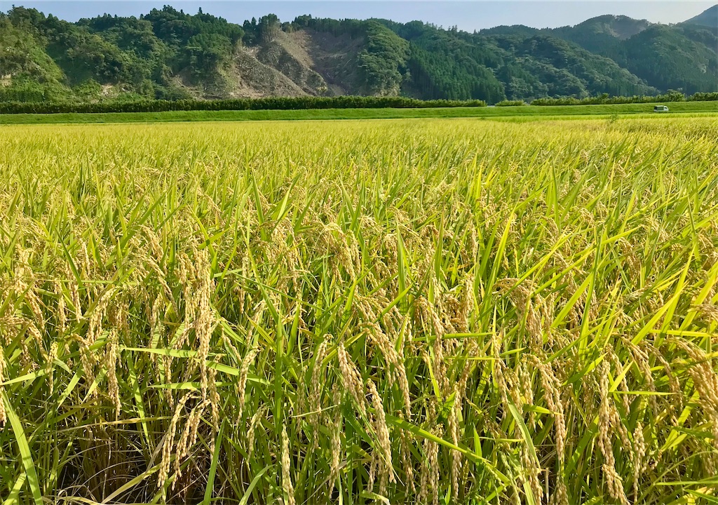 f:id:yoshink4:20220723175224j:image f:id:yoshink4:20220723175224j:image