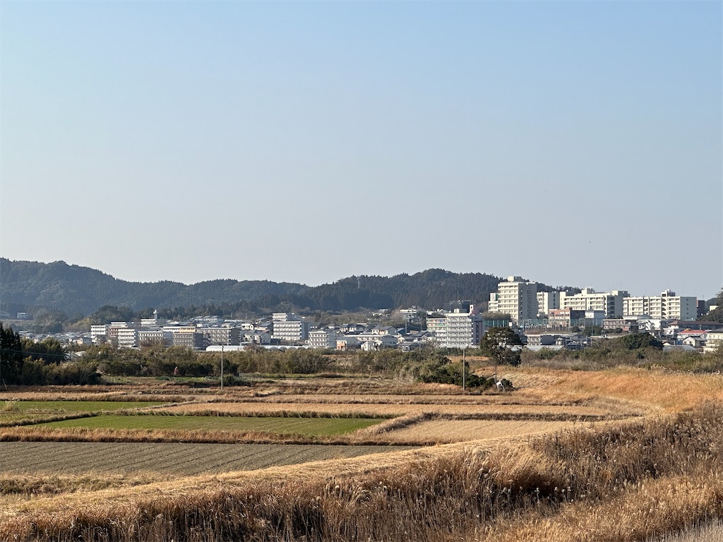 f:id:yoshink4:20230105152011j:image f:id:yoshink4:20230105152011j:image