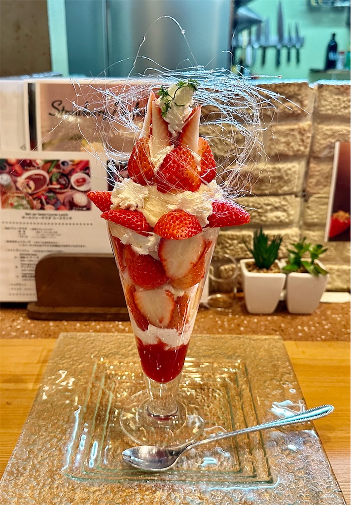 f:id:yoshink4:20230202174409j:image