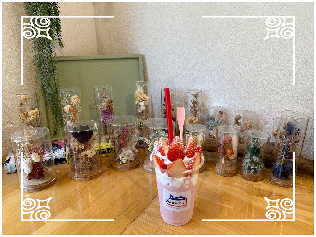 f:id:yoshink4:20230227173823j:image f:id:yoshink4:20230227173823j:image