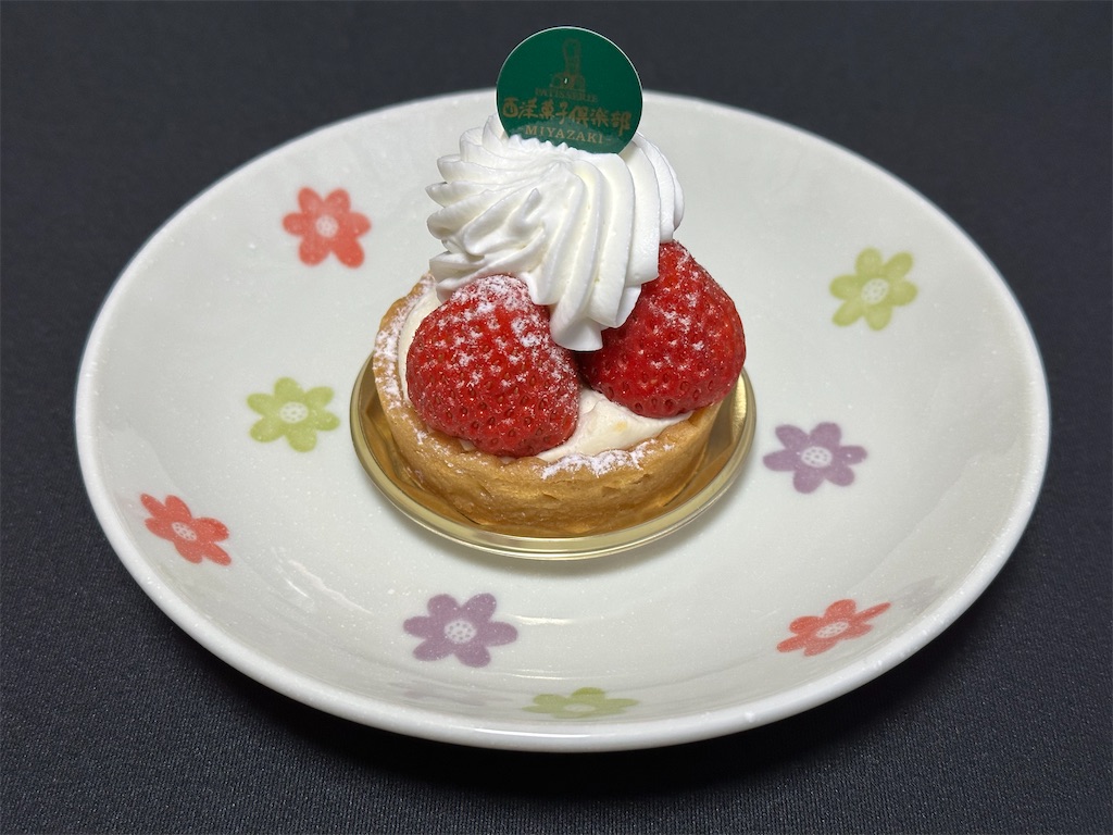 f:id:yoshink4:20230405234205j:image