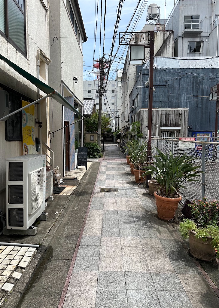 f:id:yoshink4:20230901160601j:image