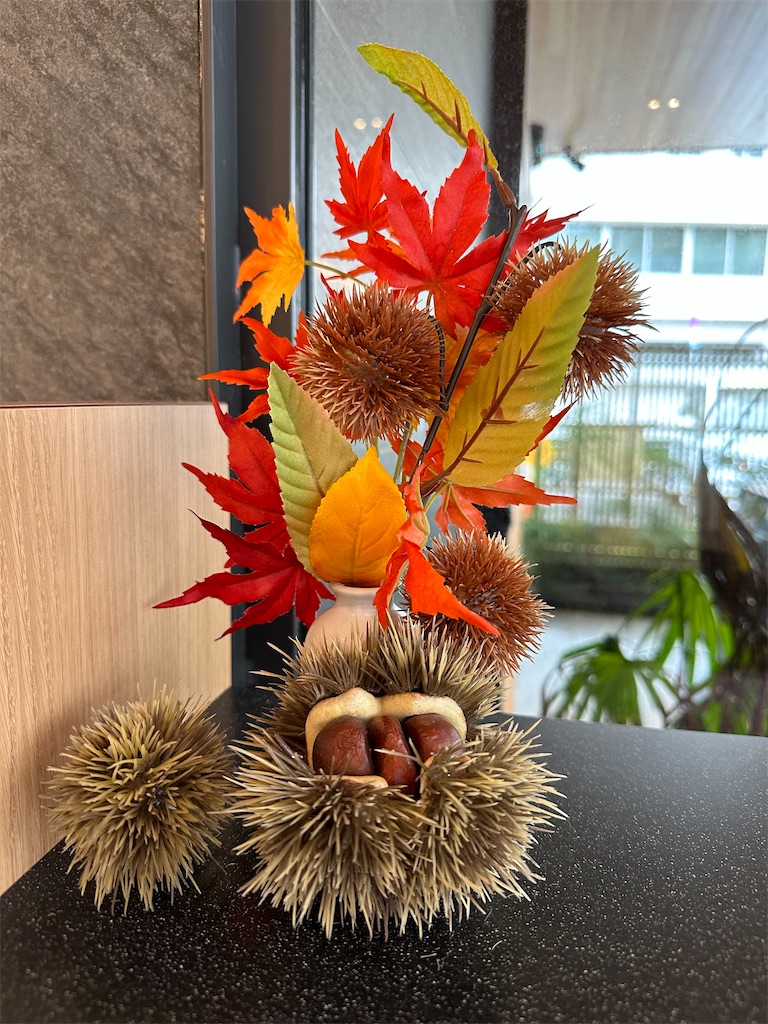 f:id:yoshink4:20230925154610j:image f:id:yoshink4:20230925154610j:image